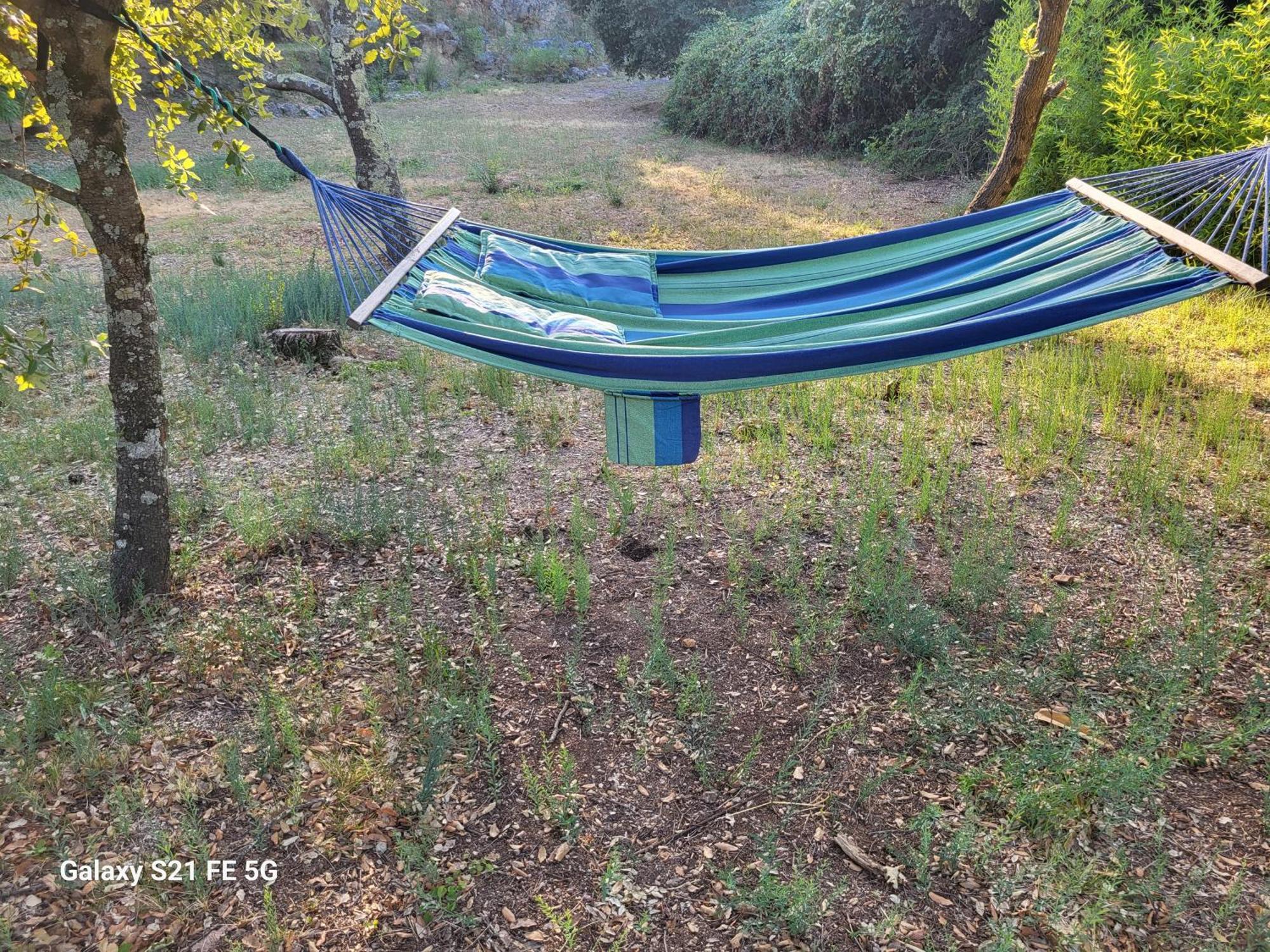 Un Ecrin De Verdure Et Plus.. Besse-sur-Issole Zewnętrze zdjęcie